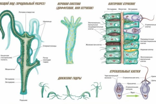 Kraken 13 at