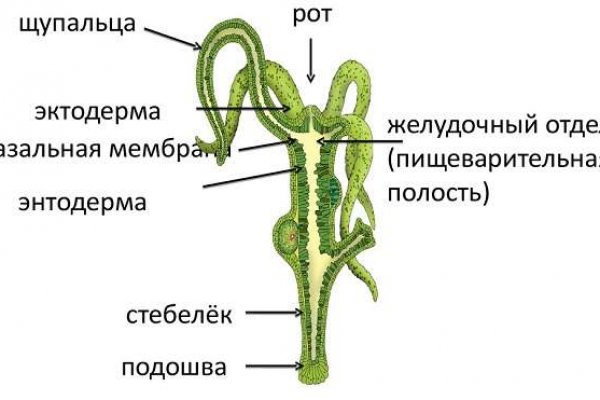 Покупки на кракене даркнет